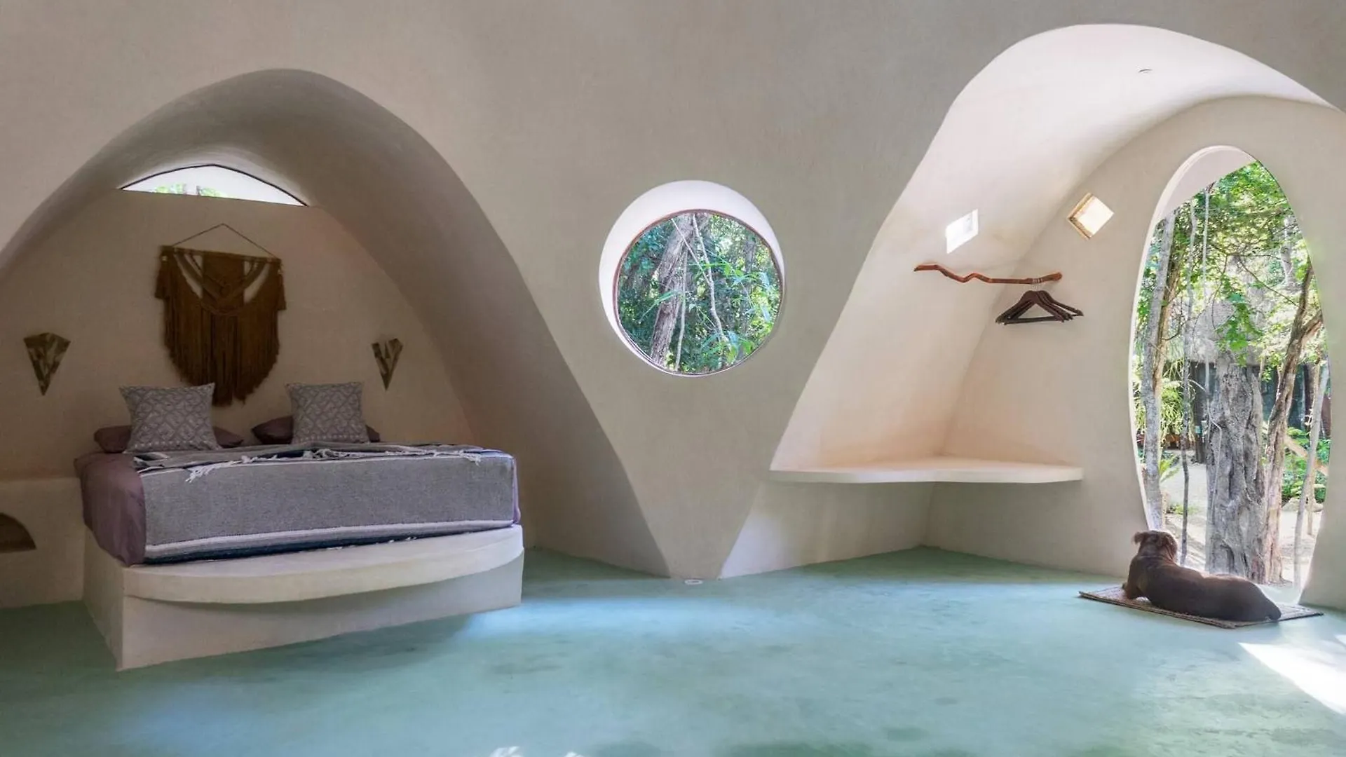 Unique Jungle Dome 2 Queen Beds Affittacamere