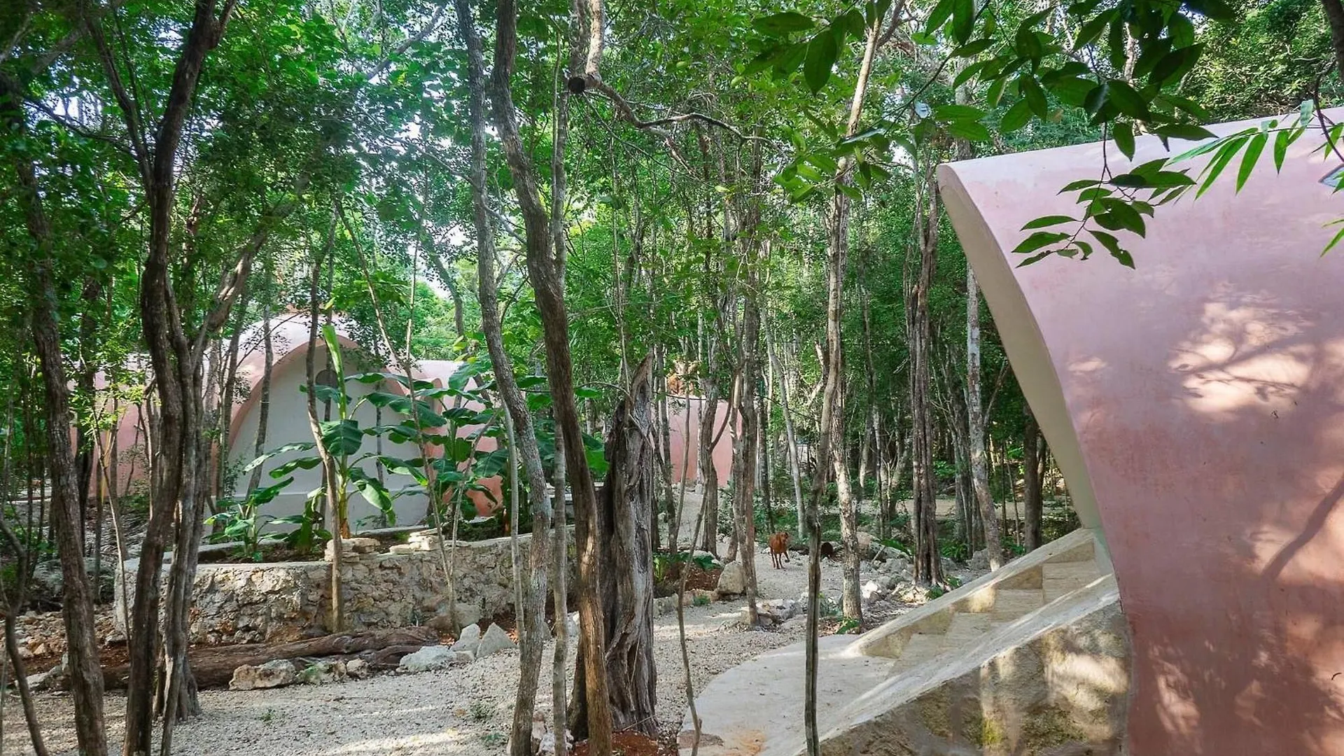 Unique Jungle Dome 2 Queen Beds