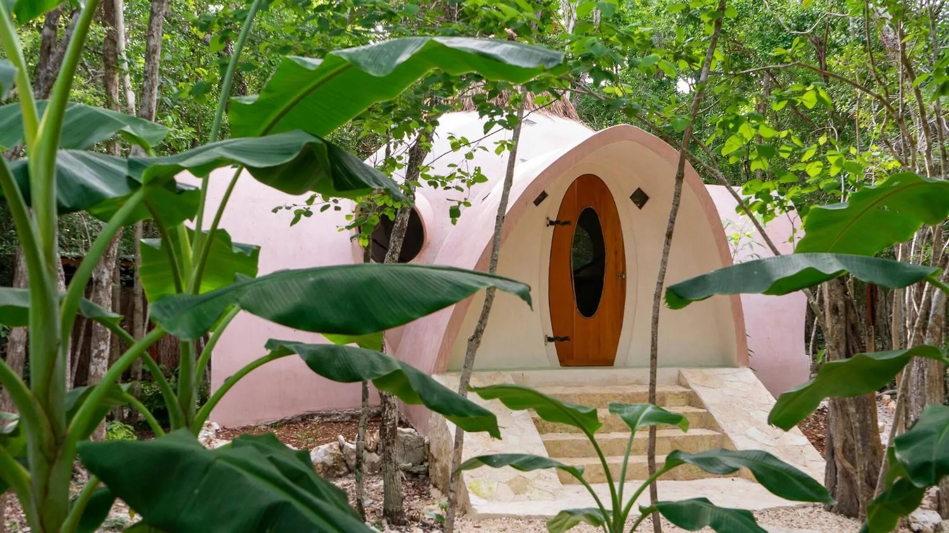 Unique Jungle Dome 2 Queen Beds