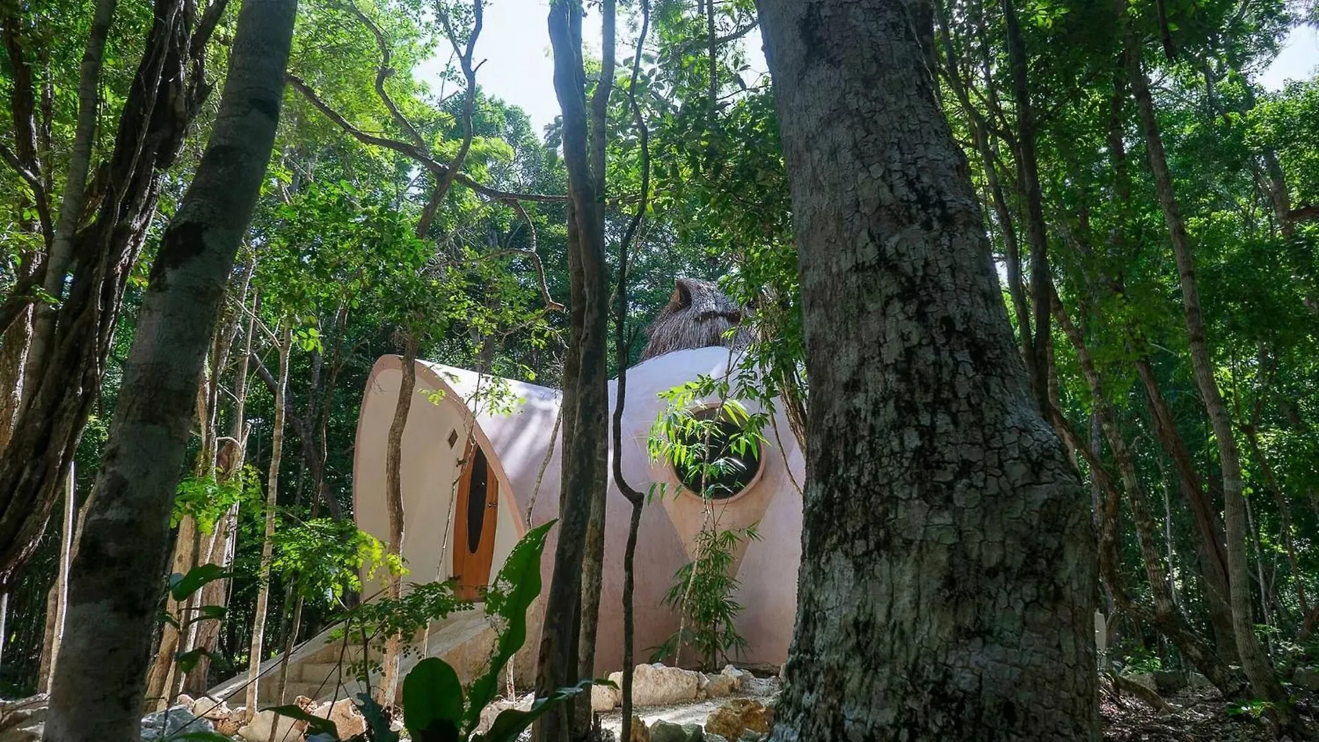 Pensión Unique Jungle Dome 2 Queen Beds